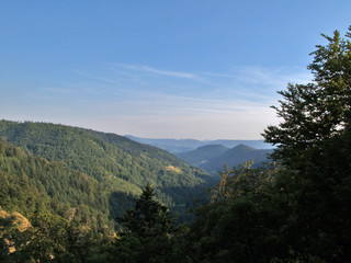 schwarzwald
