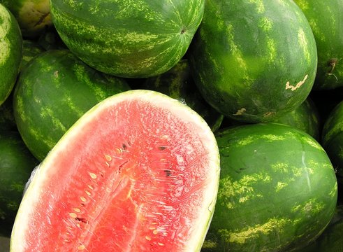 Water Melons