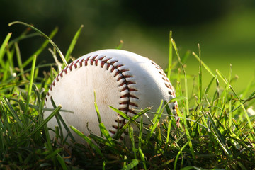 baseball