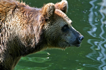 das hab ich ja noch nie gesehen