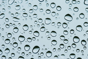 wassertropfen - drops of water