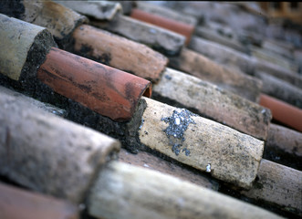 Obraz premium roof tiles