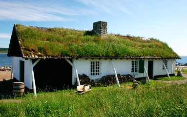 grass on the roof