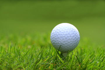 golf ball with tee - 914869