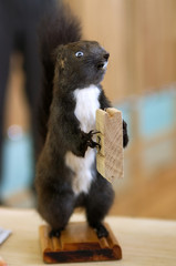 stuffed squirrel