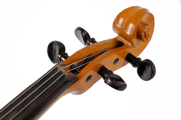 violin