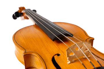 Fototapeta premium violin