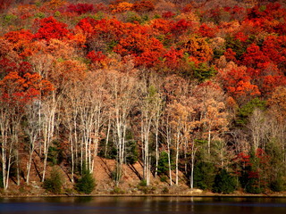 autumn on the lake