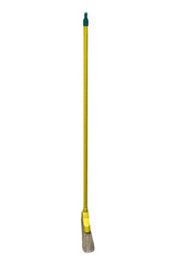 yellow broom