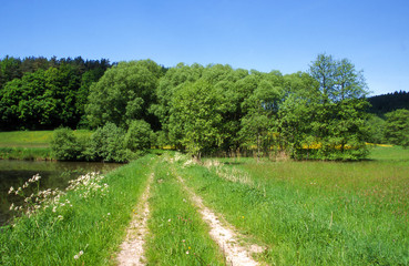 steigerwald2
