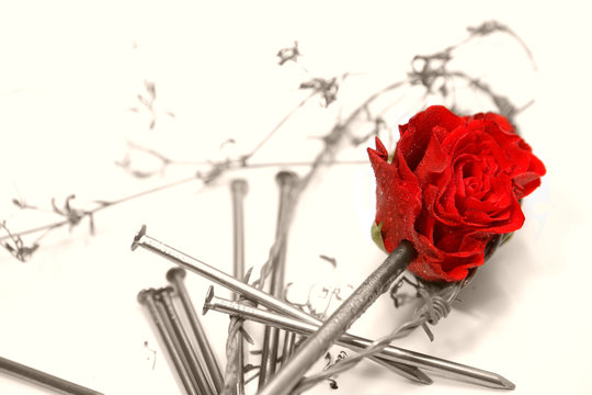 les douleurs de l'amour