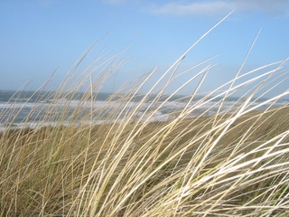 blick auf die nordsee