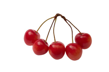 five cherries