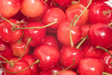 fresh cherries