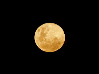 Fototapeta premium yellow moon