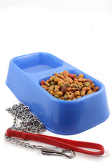 dog food and leash
