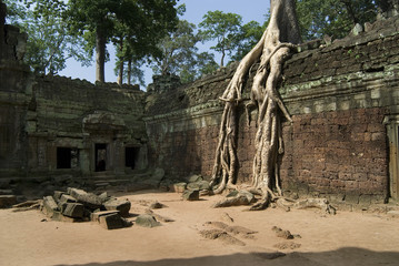 root and temple