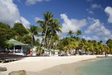 Badezimmer Foto Rückwand karibischer strand © Digishooter