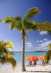 caribbean dream