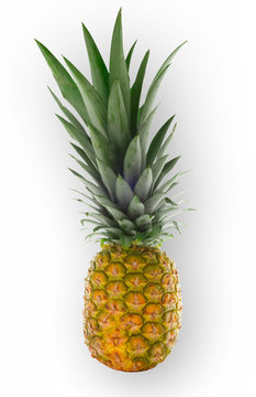 isolated pineapple