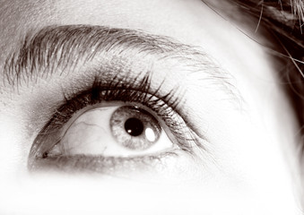 regard