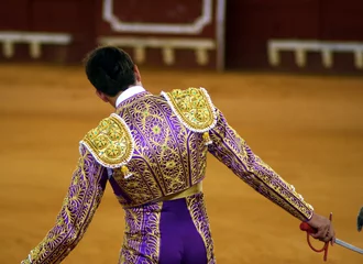 Printed roller blinds Bullfighting torero