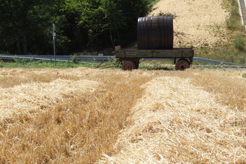 wagen mit fass
