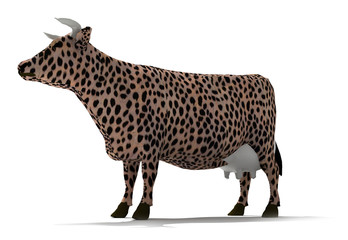 panther cow