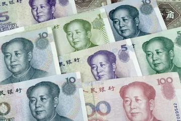 Plaid mouton avec motif Chine monnaie chinoise