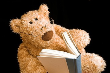 teddy bear reading