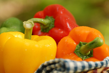 closeup of peppers