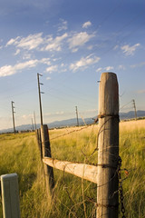 wooden gate with electric pole and blue skies on the background