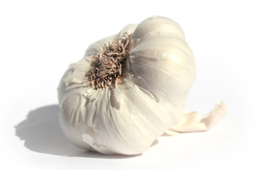 knoblauch 01