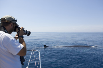 Naklejka premium photographe et baleine