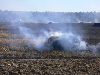 brennendes feld