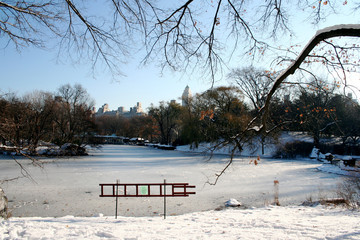 panorama-central park