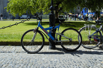 bicicle in university of dublin garden