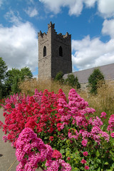 Fototapeta na wymiar ireland castle with flowers