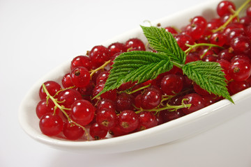 rote beeren