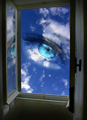 window