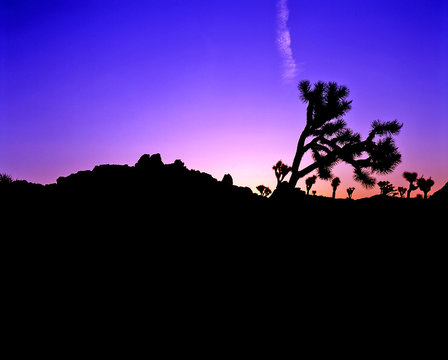 sunrise in the desert