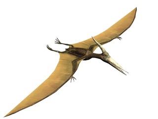 pterus the pterosaur