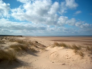Fototapeta na wymiar the dunes at wells