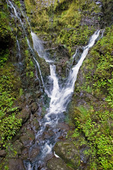 tropical waterfalls