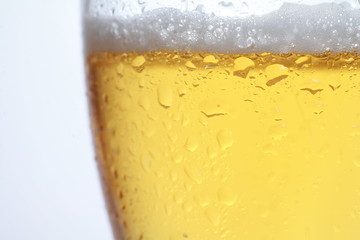 beer