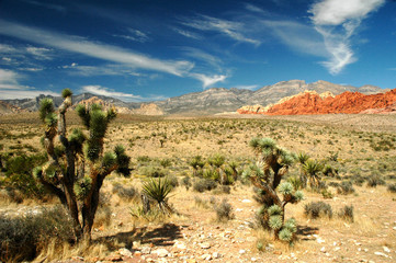 red rock canyon 3