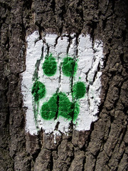 wolfspfad