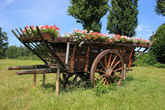 charette de fleur - d&eacute;coration