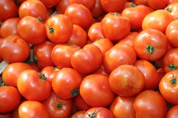 les tomates le plaisir de l'ete