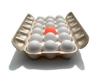 stand out - eggstraordinary egg